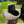 Load image into Gallery viewer, Gone Hunting Mossy Oak Camo Cowboy Hat