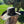 Load image into Gallery viewer, Gone Hunting Mossy Oak Camo Cowboy Hat