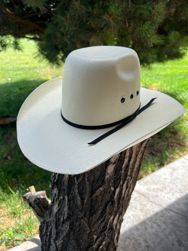 Barney kids Cowboy Hat