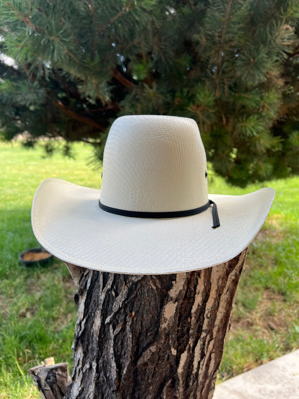 Barney kids Cowboy Hat